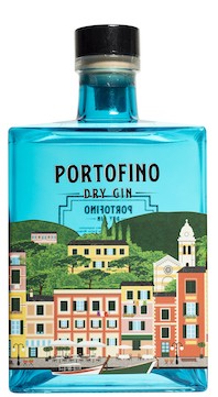 Una bottiglia di gin di esempio